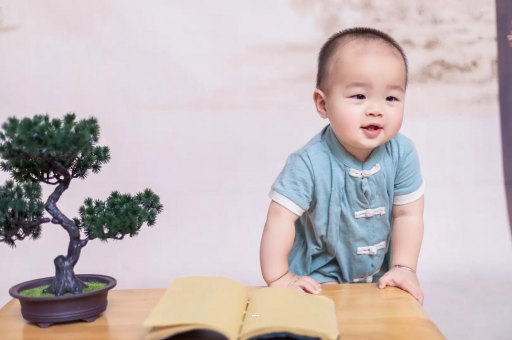 姜堰可爱的企鹅宝宝